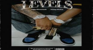 LEVELS – Sidhu Moose Wala