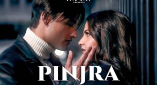 PINJRA LYRICS