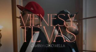 Vienes Y Te Vas (English Translation) Lyrics