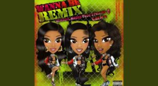 Wanna Be (Remix) Lyrics – GloRilla