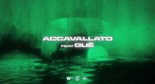 ACCAVALLATO Song Lyrics