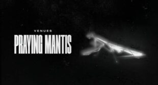 Lyrics of Praying Mantis Song