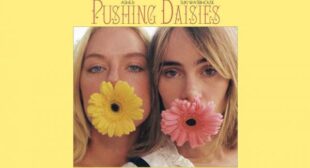 Pushing Daisies Lyrics – Ashe