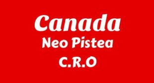 CANADA Lyrics – Neo Pistea