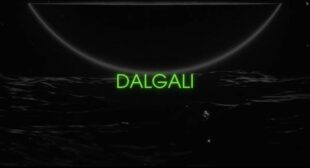 Lyrics of Dalgalı Song