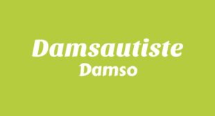 Lyrics of DAMSAUTISTE Song