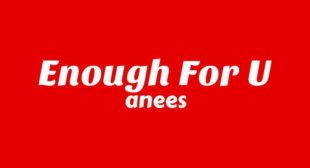 Enough for u Lyrics – anees