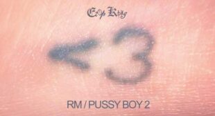 Lyrics of RM  PUSSY BOY 2 Song