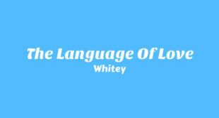 The Language of Love Lyrics – Whitey