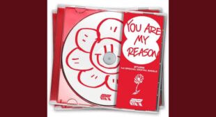 Lyrics of You Are My Reason Song