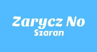 ZARYCZ NO Lyrics – Szaran