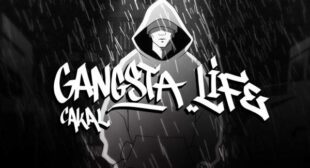 Lyrics of Gangsta Life Song