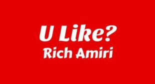 U LIKE? Lyrics – Rich Amiri