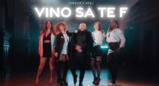 Lyrics of Vino să te f Song