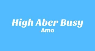 High aber busy Song Lyrics