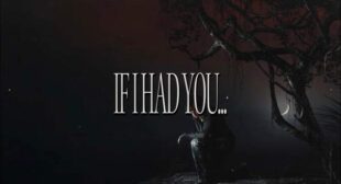 Lyrics of IF I HAD YOU… Song