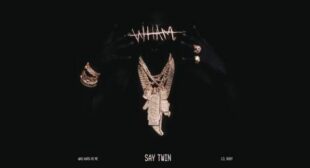 Say Twin Song Lyrics