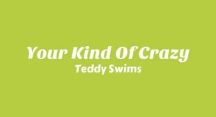 Your Kind of Crazy Lyrics – Teddy Swims