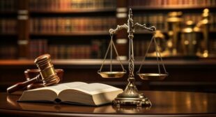 Legal Reasoning and Application: Techniques for Success on Law Exams!