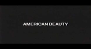 AMERICAN BEAUTY Song Lyrics