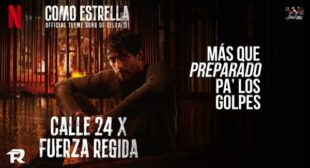 Lyrics of COMO ESTRELLA Song