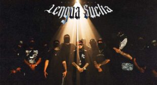 Lengua Suelta (English Translation) Song Lyrics