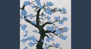 Butterflies Song Lyrics