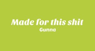 Lyrics of Made for this shit Song