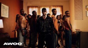 Lyrics of BOTAPAFO Song